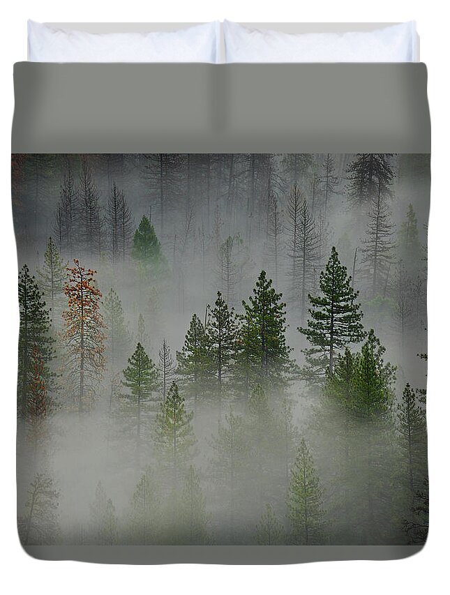 Forest Duvet Cover featuring the photograph Trees in Yosemite by Jon Glaser