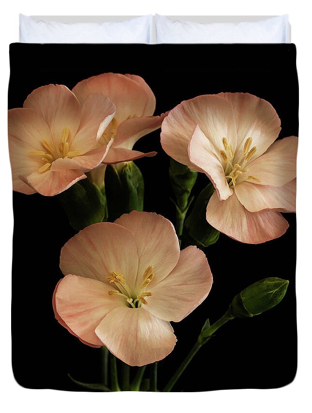 Flowers Duvet Cover featuring the photograph Trio in Pink by Cheryl Day