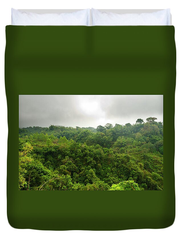 Tropical Rainforest Duvet Cover featuring the photograph Tropical Forest Segment by Funky-data