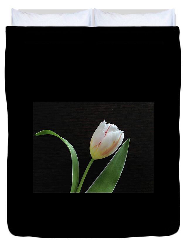 Tulip Duvet Cover featuring the photograph Tulip 8 by Tom Reynen