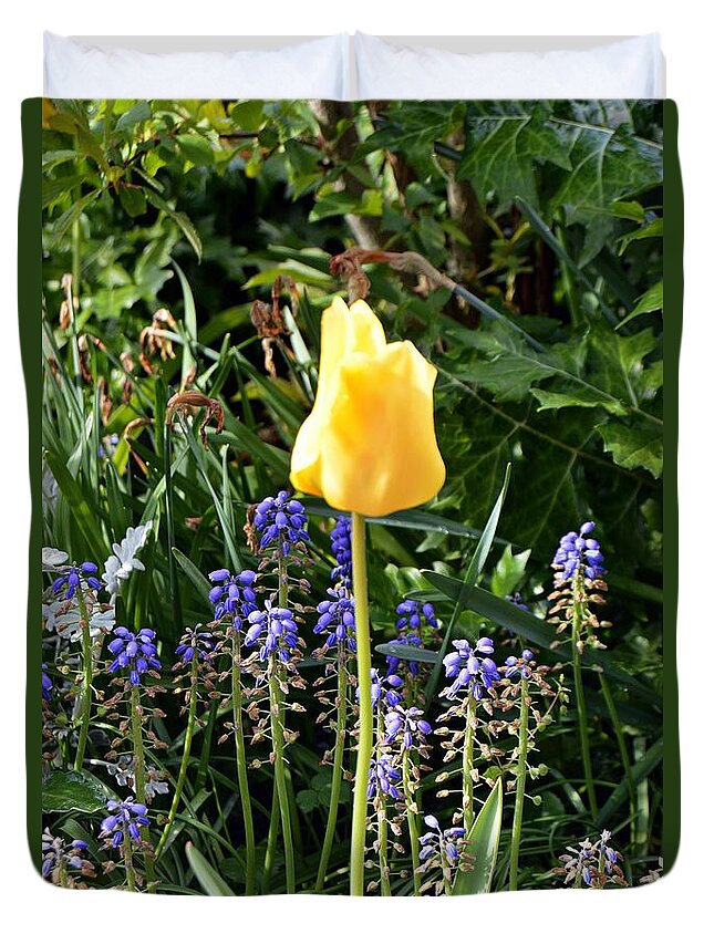 Flower Duvet Cover featuring the photograph Tulip by Thomas Schroeder