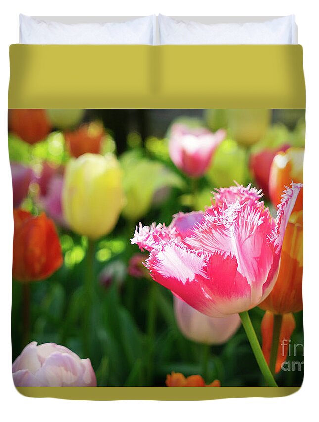 Tulips Duvet Cover featuring the photograph Tulips Bloom #1 by Anastasy Yarmolovich