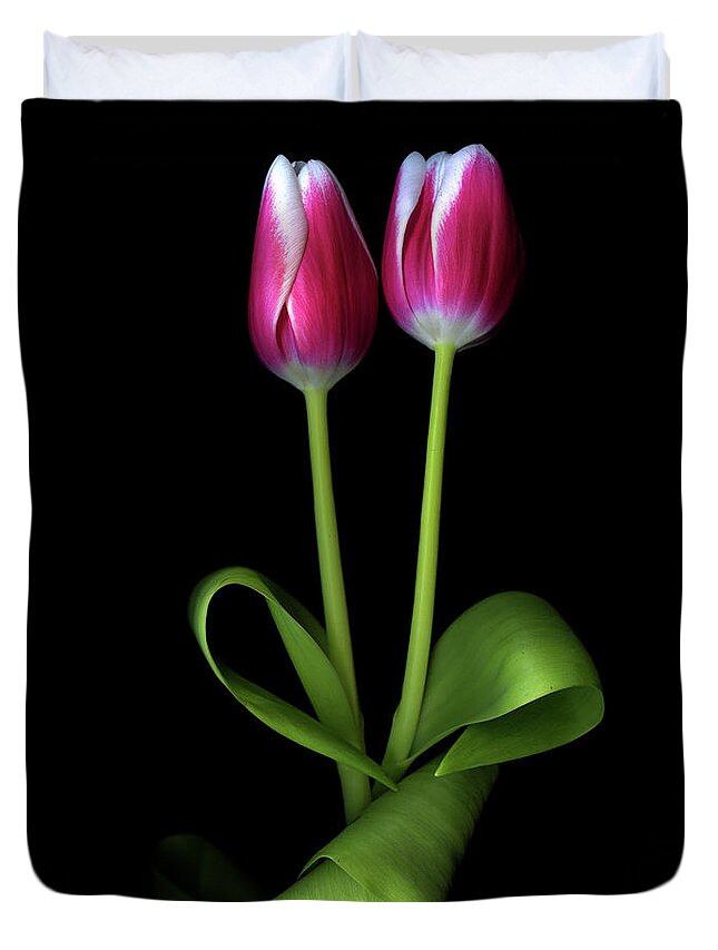 Bud Duvet Cover featuring the photograph Tulips Flowers by Photograph By Magda Indigo