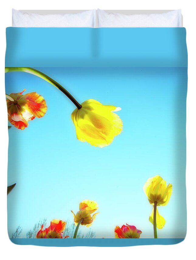 Evie Duvet Cover featuring the photograph Tulips Holland Michigan 17 by Evie Carrier