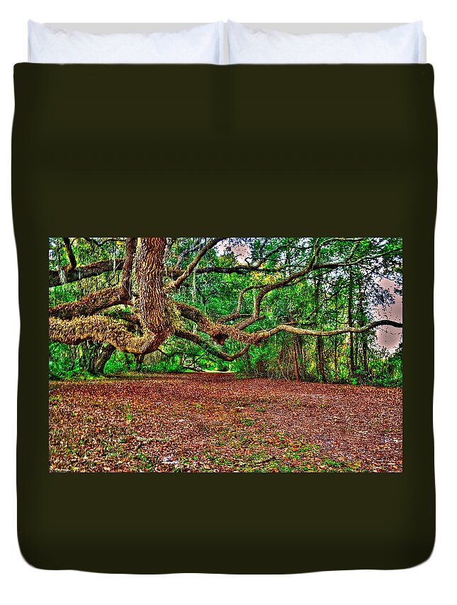 Forest Duvet Cover featuring the photograph Tunnel of Trees by Richard Zentner