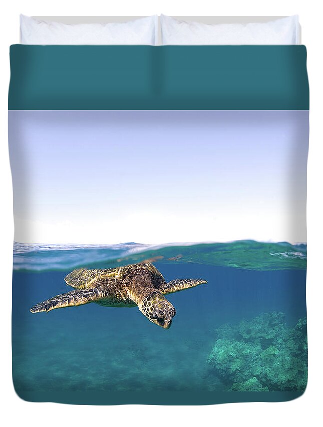 Animal Themes Duvet Cover featuring the photograph Turtle Split View by M Swiet Productions