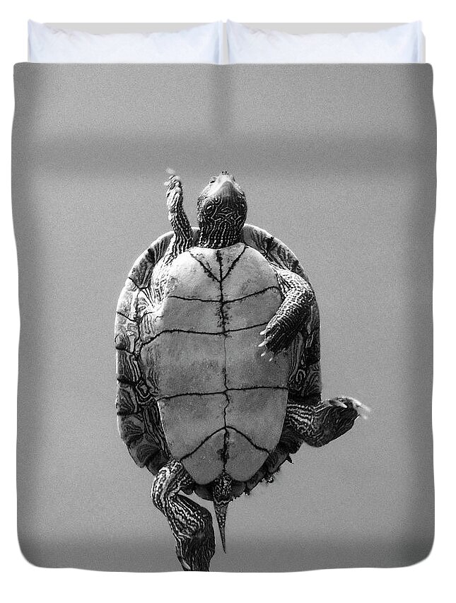 Underwater Duvet Cover featuring the photograph Turtle Swimming Overhead by George Jones