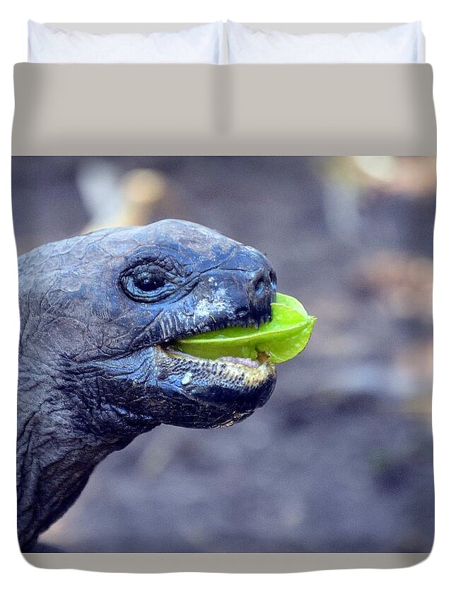 Turtle Duvet Cover featuring the photograph Turtle by Thomas Schroeder