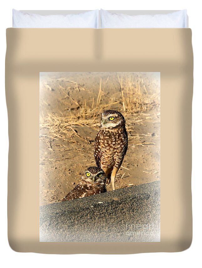 Owl Duvet Cover featuring the photograph Two Burrowing Owls by Carol Groenen