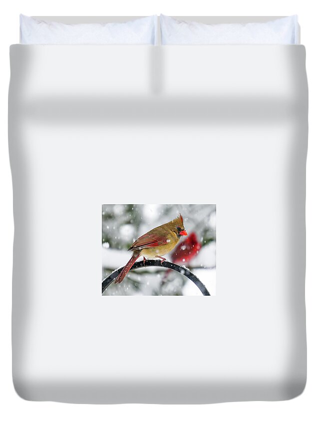 Cardinal Duvet Cover featuring the photograph Two Cardinals in Snow by Tana Reiff