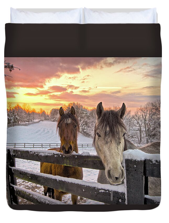 Horse Duvet Cover featuring the photograph Two Horses In Snowy Pasture At Sunrise by William Toti