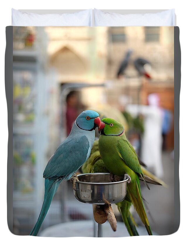 Parrot Duvet Cover featuring the photograph Two Parrots Perching On Bowl by Ryan Joseph Elico / 500px