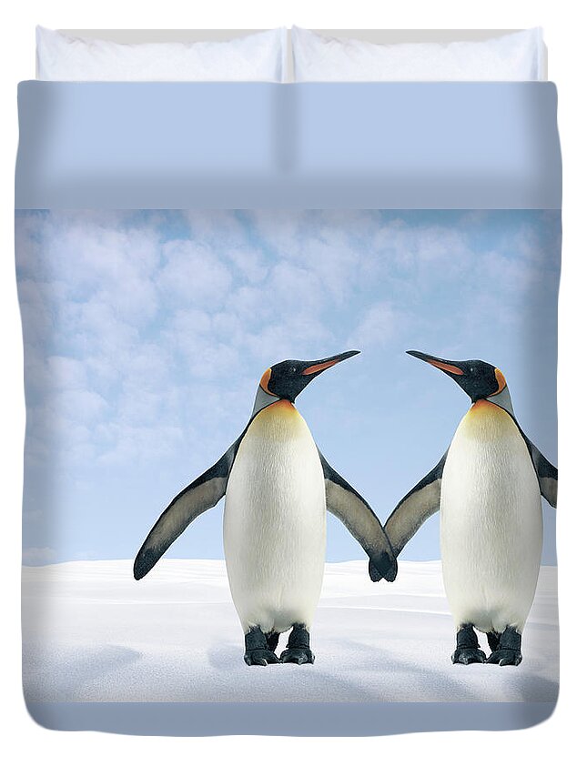 Animal Themes Duvet Cover featuring the photograph Two Penguins Holding Hands by Fuse