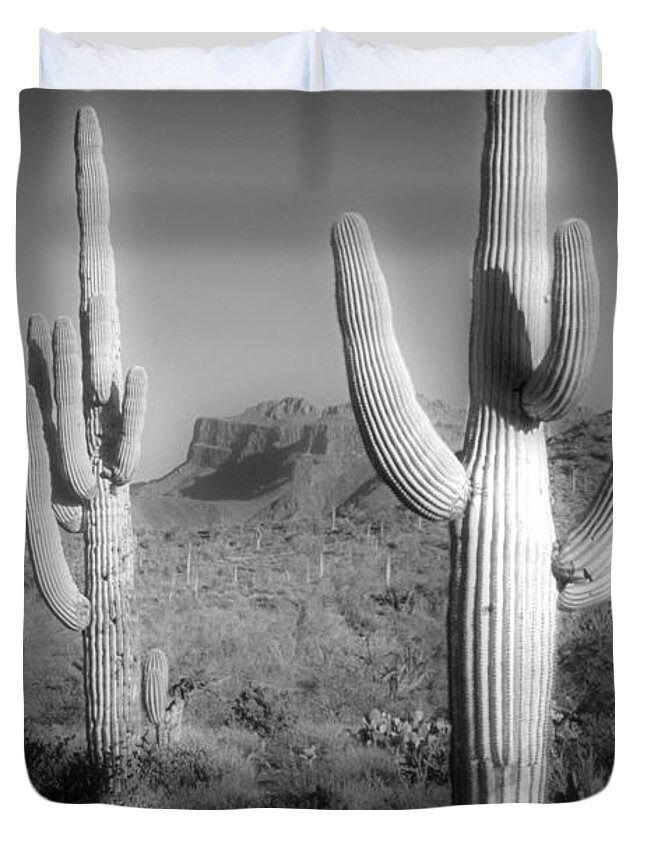 Saguaro Cactus Duvet Cover featuring the photograph Two Saguaro Carnegiea Gigantea Cactii by Diane Miller