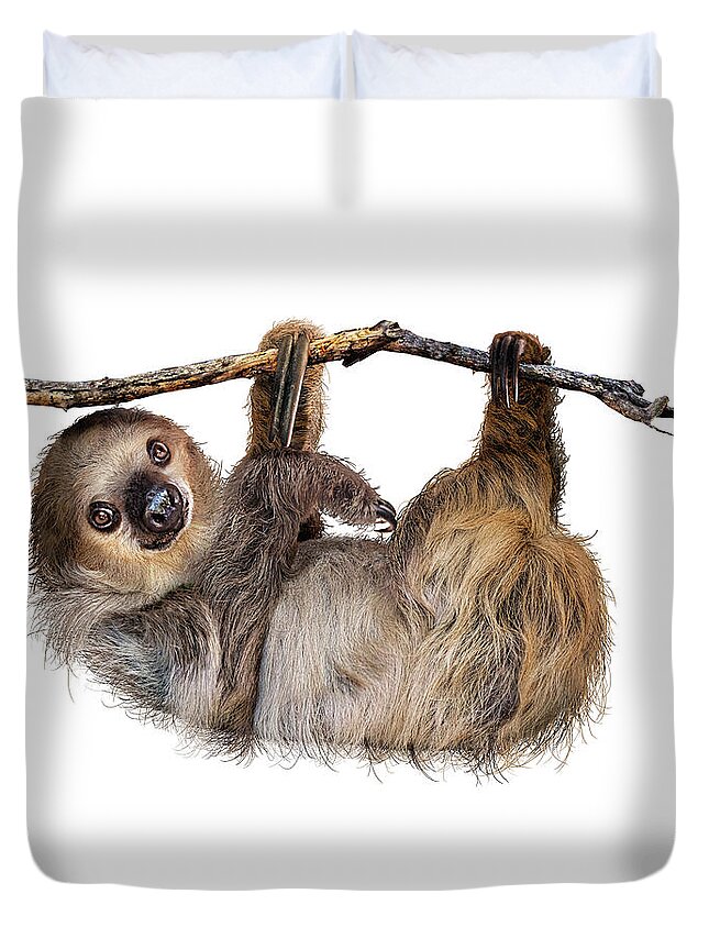 Sloth Duvet Cover featuring the photograph Two-Toed Sloth Named Fernando by Good Focused