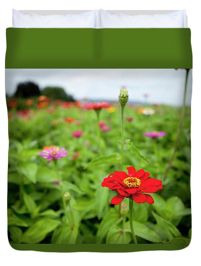 Outdoors Duvet Cover featuring the photograph U-pic Flowers At A Local Farm by Jordan Siemens