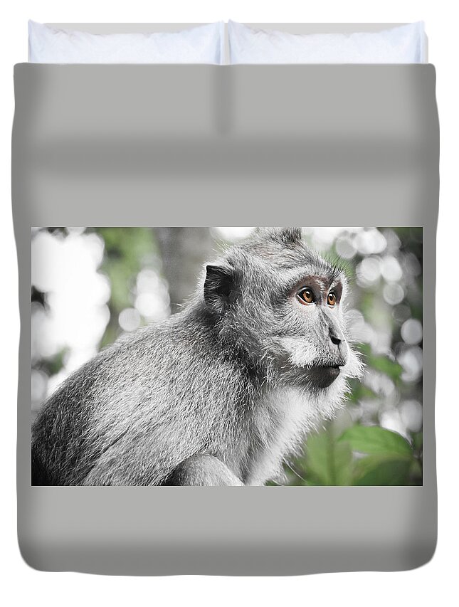Animal Themes Duvet Cover featuring the photograph Ubud Monkey From Monkey Forest by Volanthevist