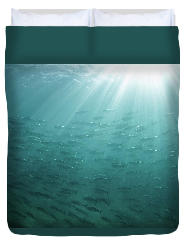 Freedom Duvet Cover featuring the photograph Underwater Light by Mark Tipple