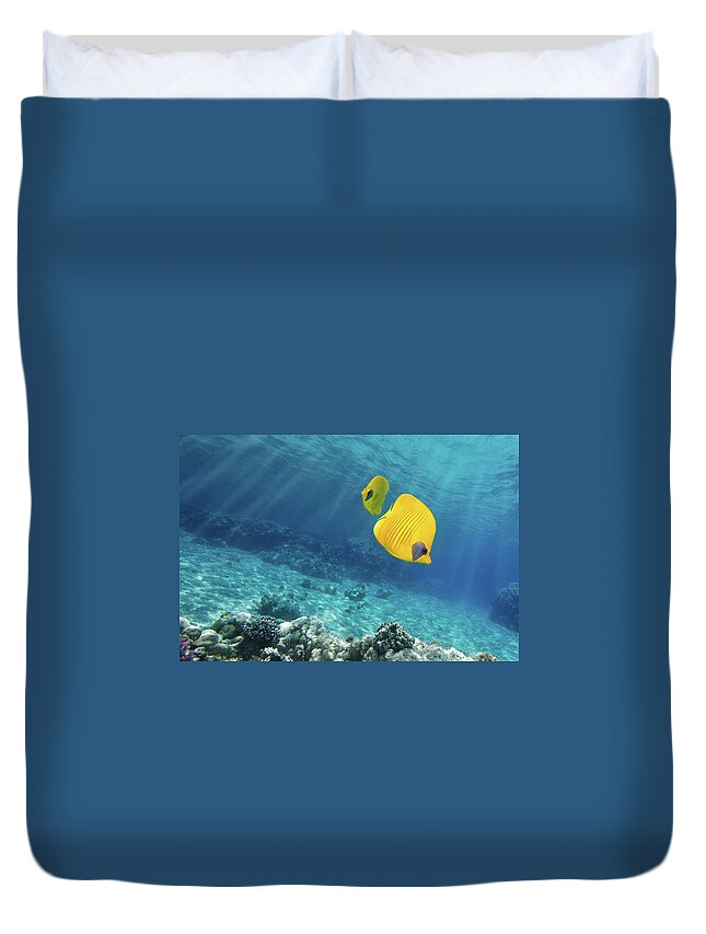 Underwater Duvet Cover featuring the photograph Underwater Picture Of Orangeface by Viridis