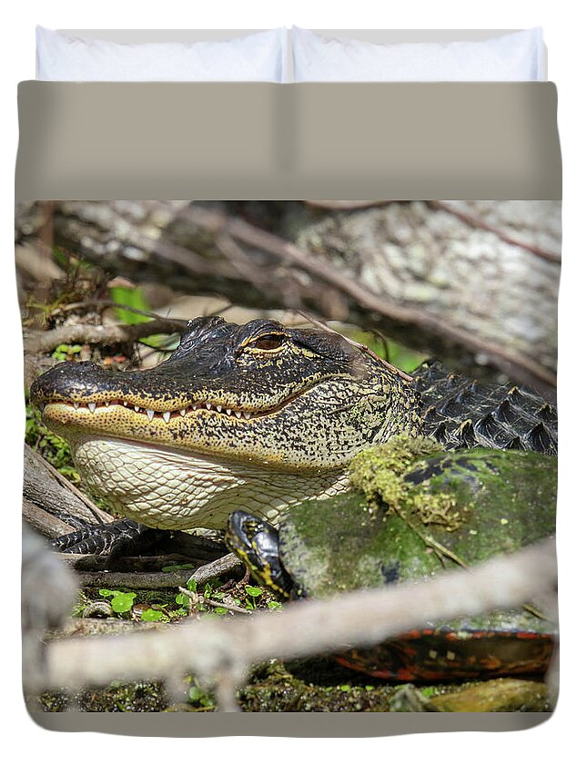 Alligator Duvet Cover featuring the photograph Unlikely Friends by Brook Burling