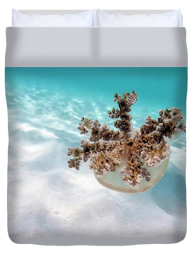 Underwater Duvet Cover featuring the photograph Upside Down Jellyfish Over Sand In by Karen Doody/stocktrek Images