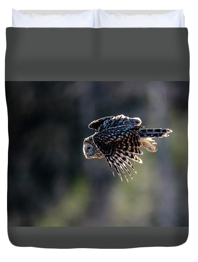 Ural Owl Duvet Cover featuring the photograph Ural owl flying against the light to catch a prey by Torbjorn Swenelius