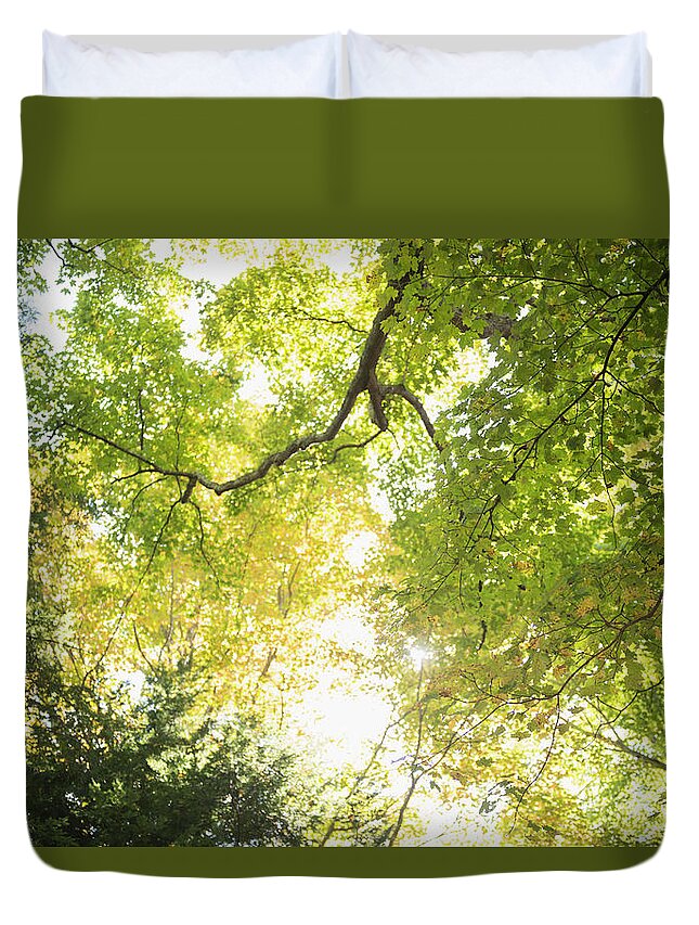 Tranquility Duvet Cover featuring the photograph Usa, Connecticut, Newtown, Tree Canopy by Jamie Grill
