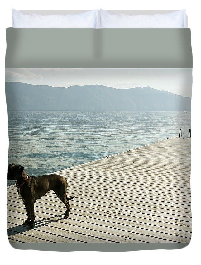 Pets Duvet Cover featuring the photograph Usa, Idaho, Hope, Dog On Pier by Ronnie Kaufman