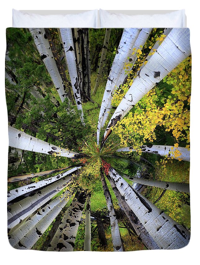 Aspen Duvet Cover featuring the photograph Variations On An Aspen Canopy by Doug Sturgess
