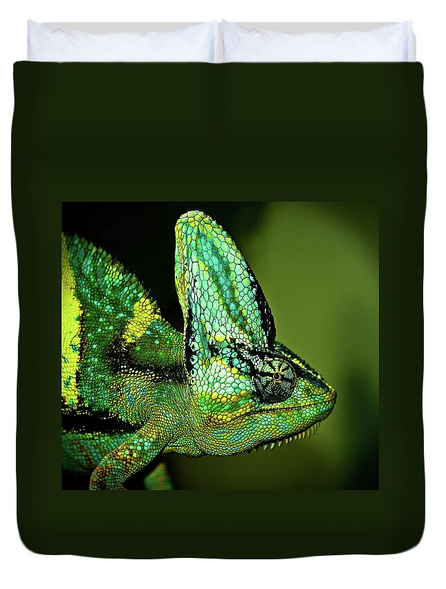 Berlin Duvet Cover featuring the photograph Veiled Chameleon by Copyright By D.teil