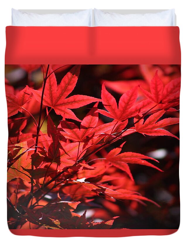 Japanese Maple Duvet Cover featuring the photograph Venetian Red Japanese Maple Tree Branch by Colleen Cornelius