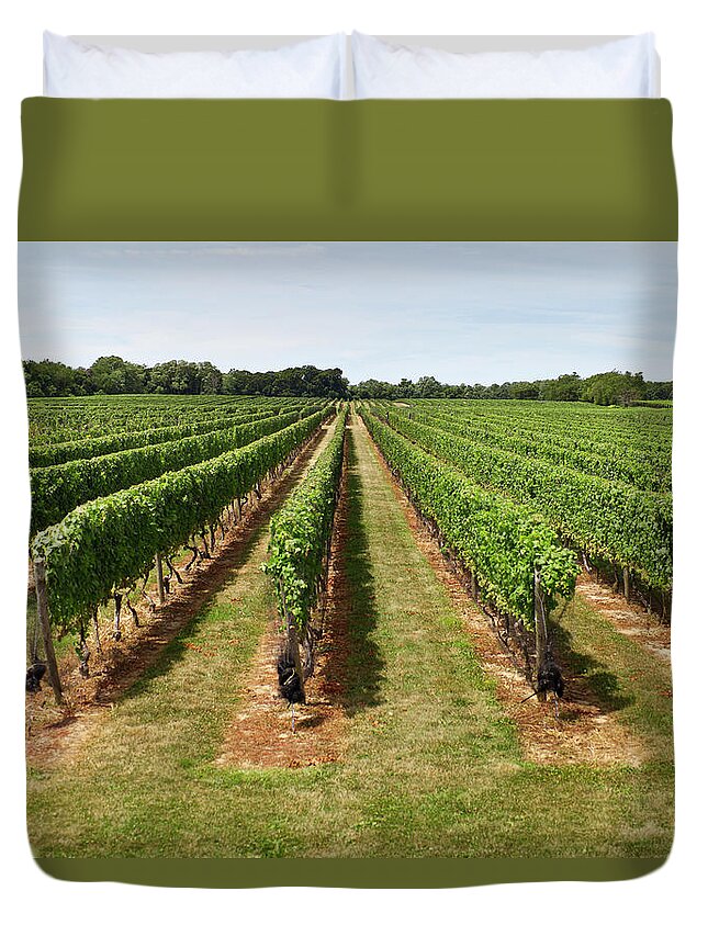 Grass Duvet Cover featuring the photograph Vineyard In The Hamptons by Nycretoucher