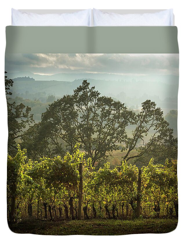 Vineyard Sunset Duvet Cover featuring the photograph Vineyard Sunset by Jean Noren