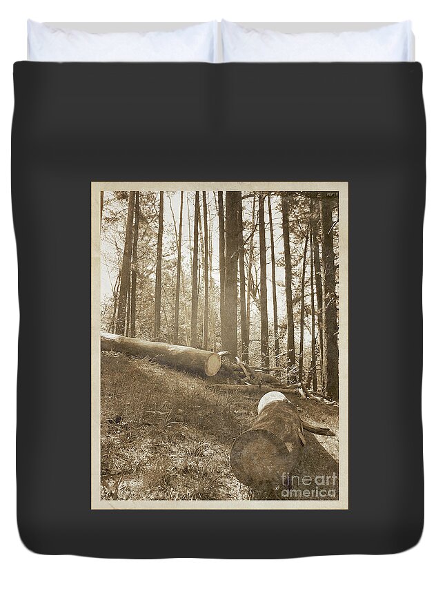 Timber Duvet Cover featuring the photograph Vintage Forest Hillside by Phil Perkins