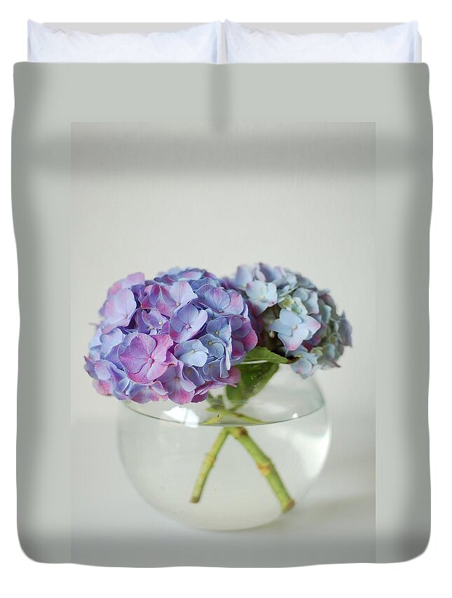 White Background Duvet Cover featuring the photograph Violet Hortensia Flower by Photo By Ira Heuvelman-dobrolyubova