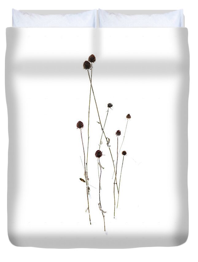 Snow Duvet Cover featuring the photograph Waiting for Spring by Barry Wills