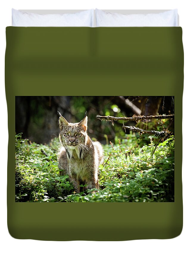 Lynx Duvet Cover featuring the photograph Watchful Mama Lynx by Tim Newton
