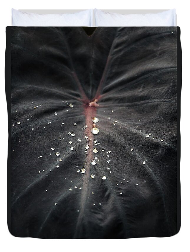 Water Duvet Cover featuring the photograph Water Drops on Black Leaf by Rick Deacon