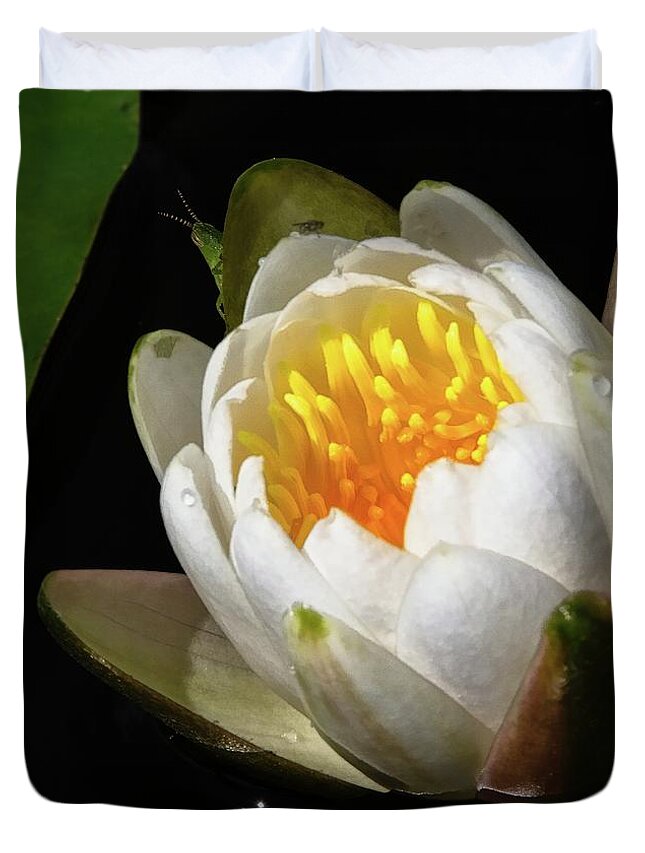 Green Duvet Cover featuring the photograph Water Lily 2 by Steve DaPonte