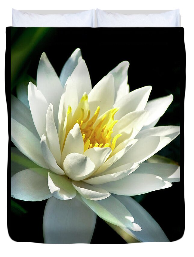 Water Lily Duvet Cover featuring the photograph Water Lily by Christina Rollo
