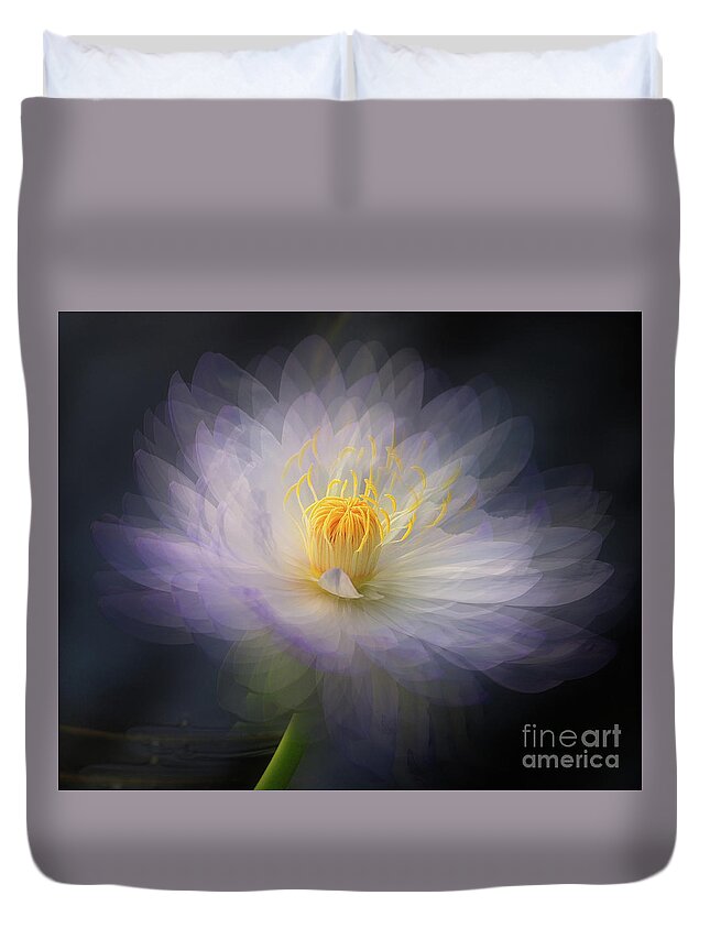 Water Duvet Cover featuring the photograph Water Lily by Jim Hatch