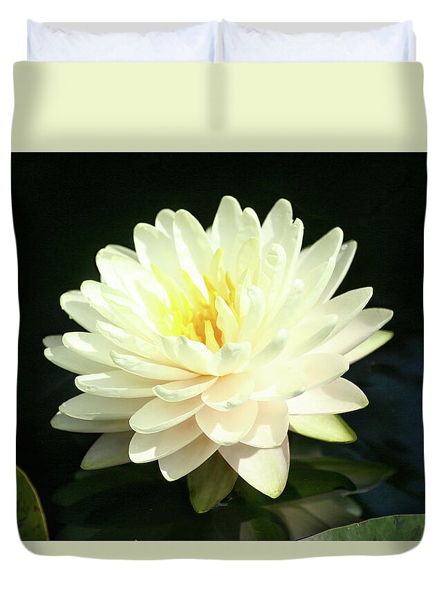 Flower Duvet Cover featuring the photograph Water Lily by Steve Karol