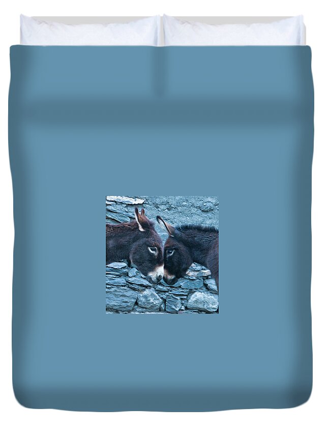 Burro Duvet Cover featuring the photograph Eye To Eye, Nose To Nose, Heart To Heart by Leslie Struxness