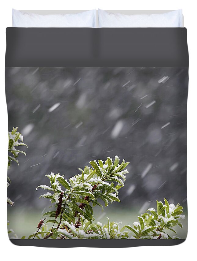 Snow Duvet Cover featuring the photograph Weather by Charles Briscoe-knight