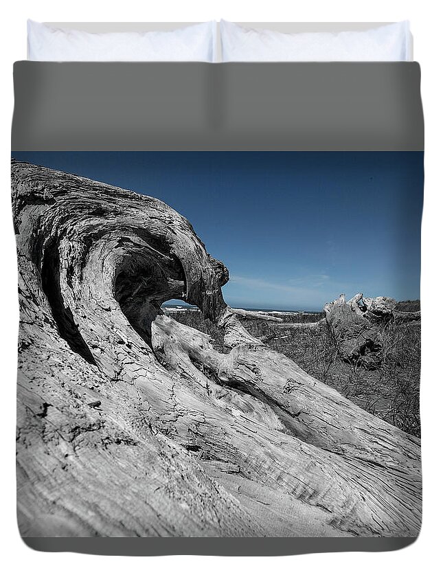 Nature Duvet Cover featuring the photograph Weathered Wood on the Beach by Bob Cournoyer