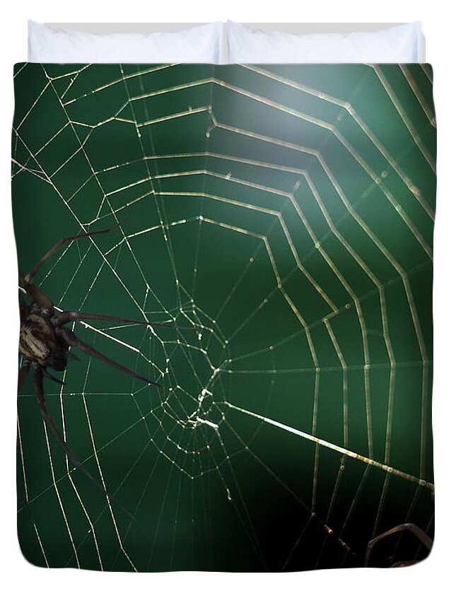 Animal Themes Duvet Cover featuring the photograph Web Of Lies by Christine Rose Photography