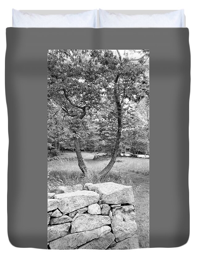 Weir Farms Duvet Cover featuring the photograph Weir Farm Stones And Trees B W by Rob Hans