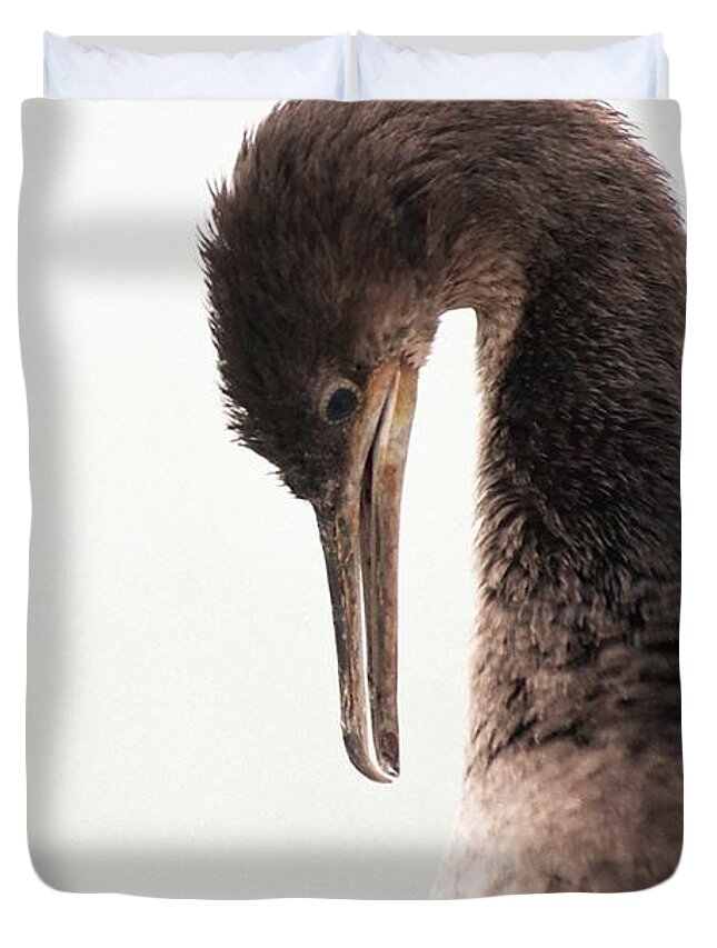 Fine Art America Duvet Cover featuring the photograph Well Groomed by Andrew Hewett