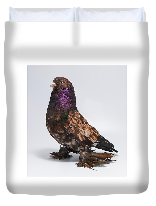 Bird Duvet Cover featuring the photograph West of England Tumbler by Nathan Abbott