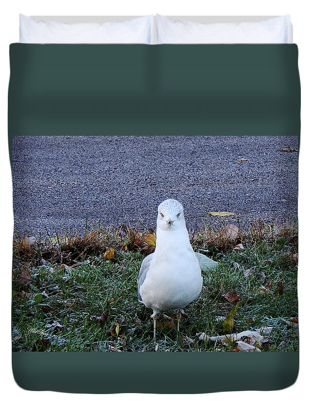 Autumn Duvet Cover featuring the photograph Whadda Are You Lookin At by Wild Thing